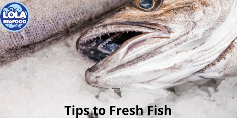 Tips to Fresh Fish